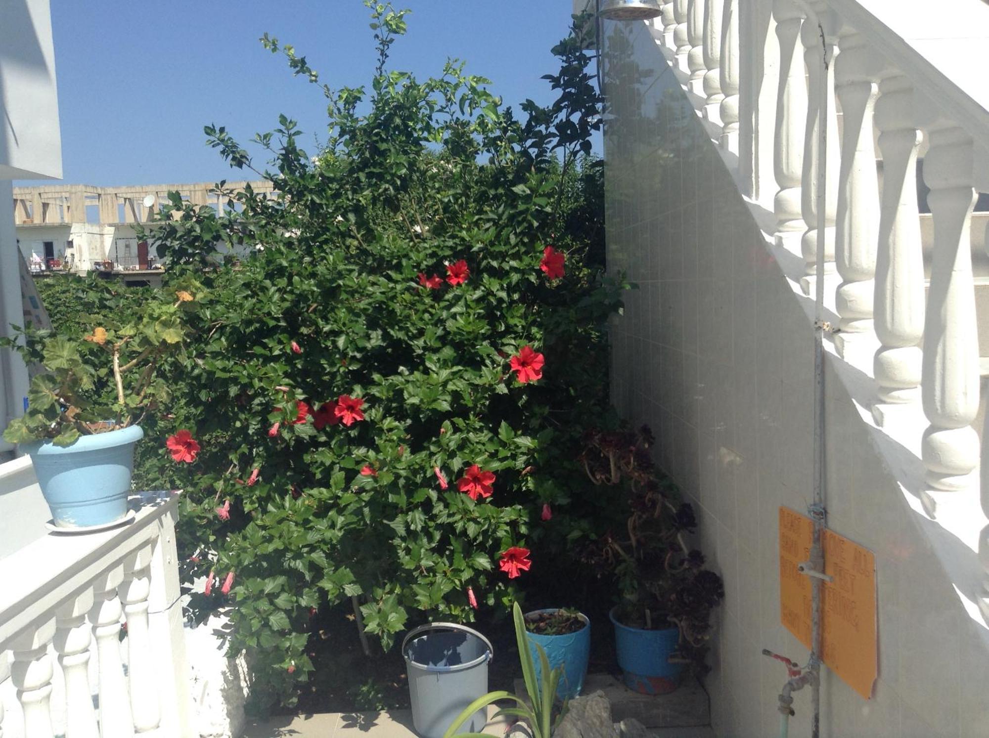 Appartement Dina